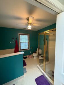 before new shower remodel